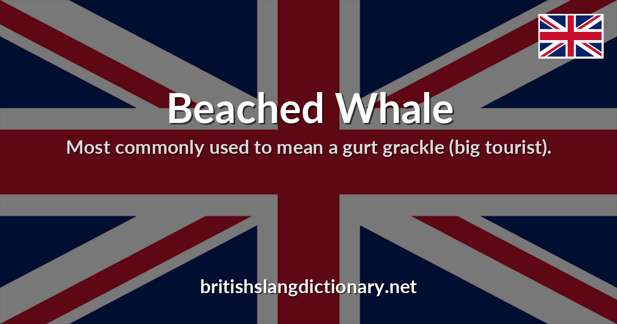 Beached Whale