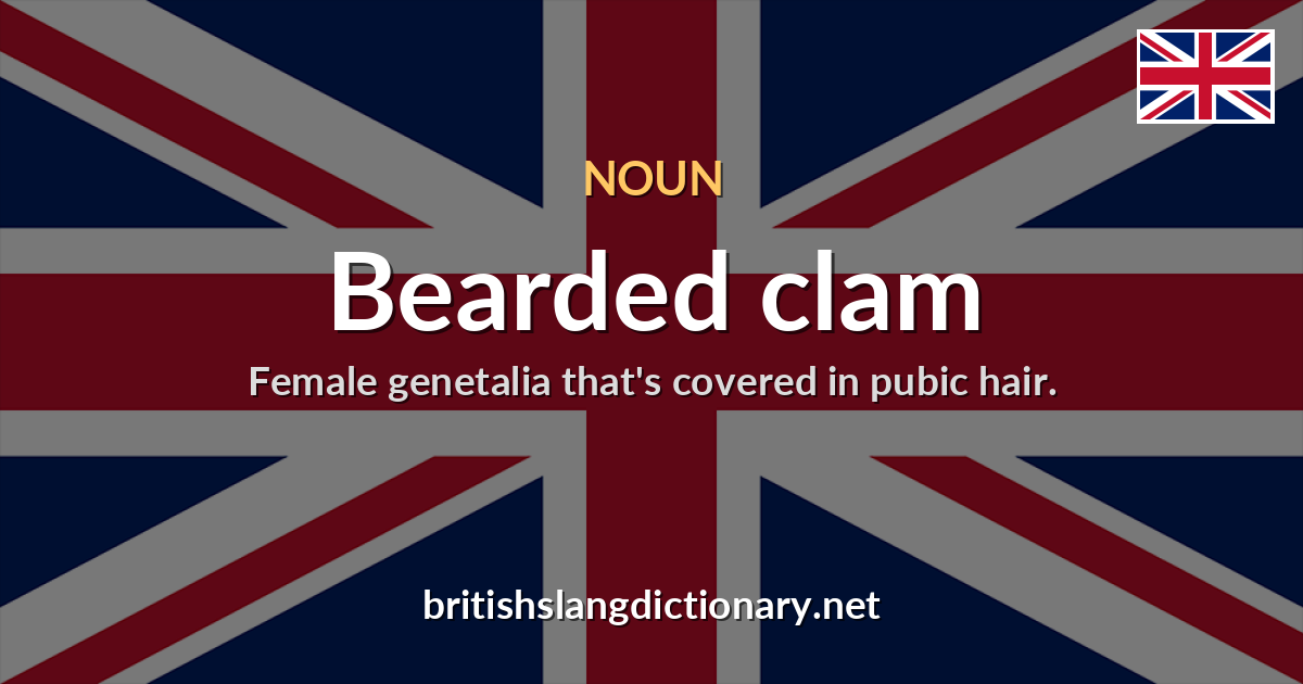 Bearded clam