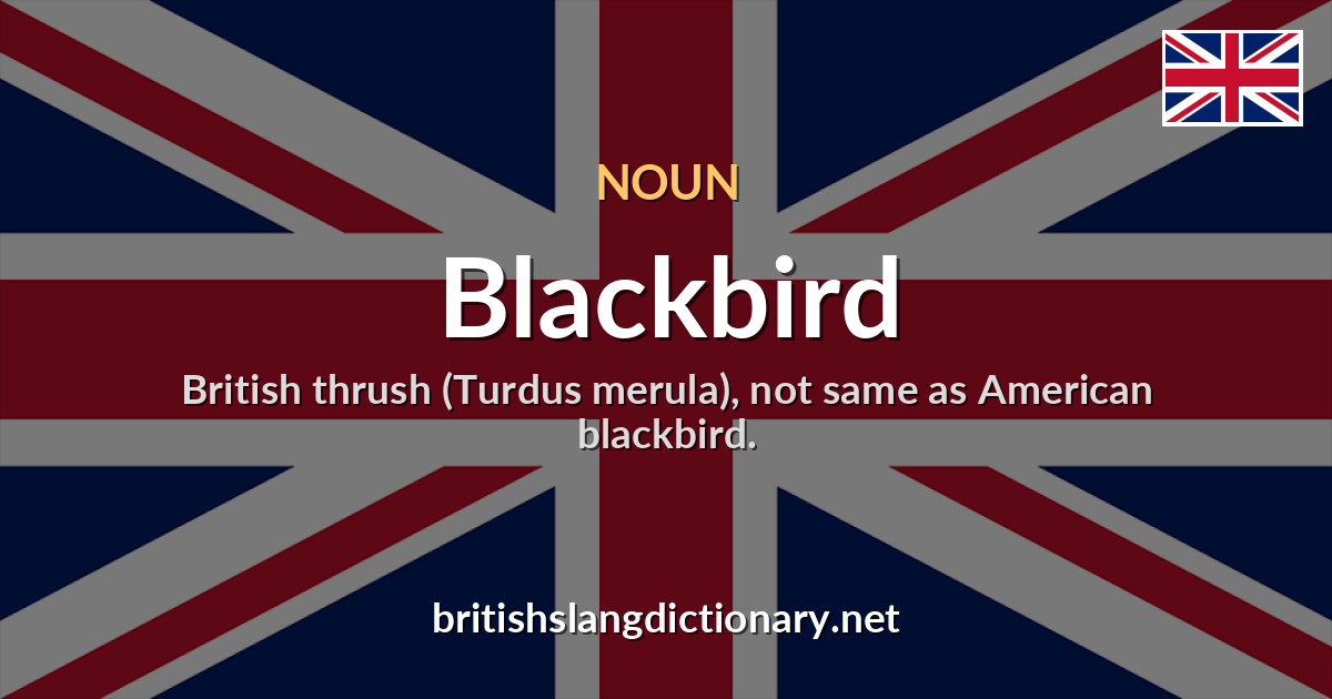 Blackbird