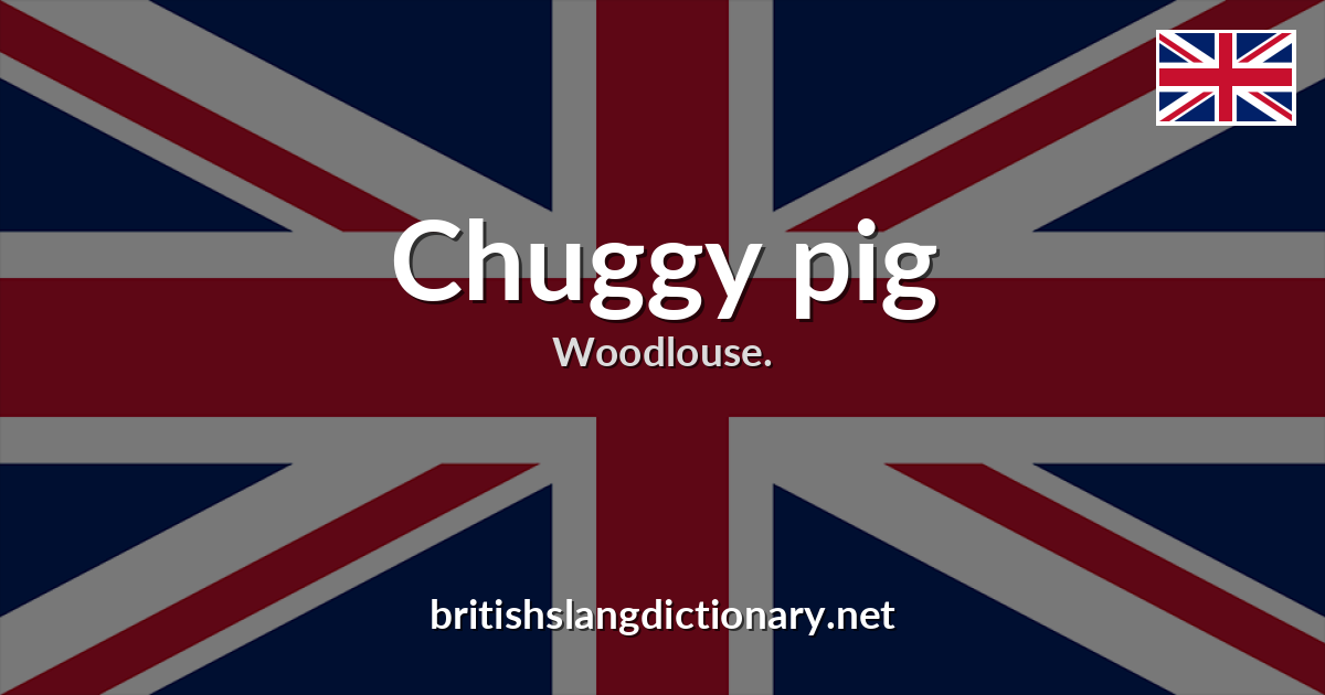 Chuggy pig
