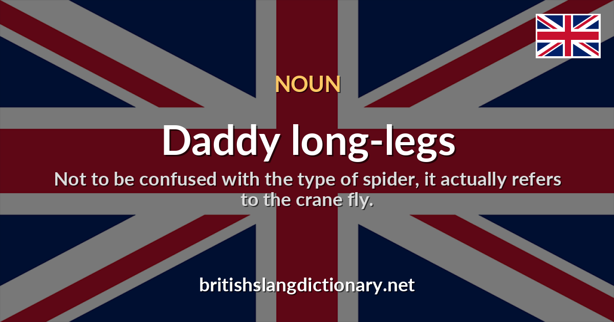 Daddy long-legs
