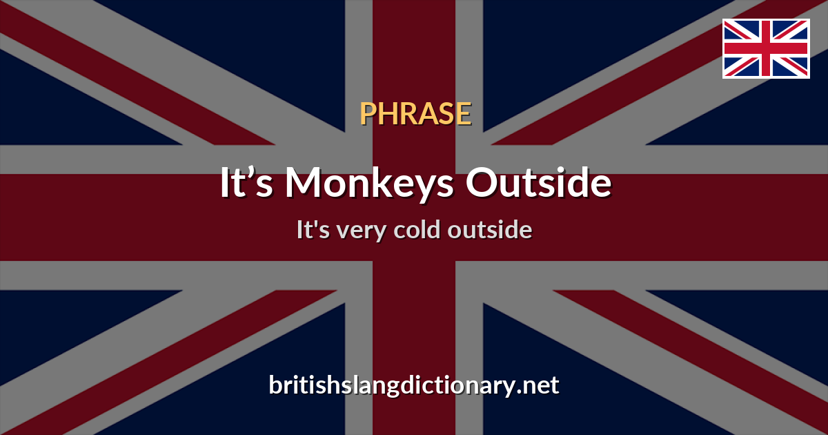 It’s Monkeys Outside