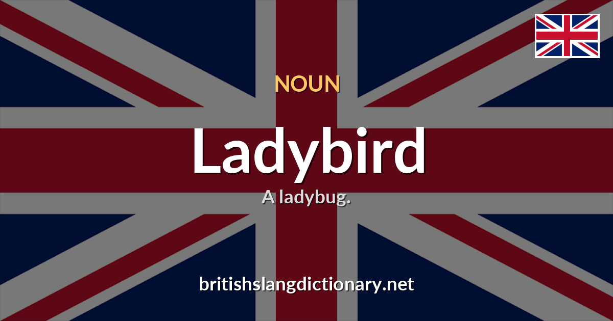 Ladybird