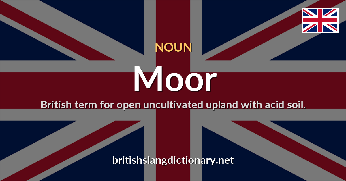 Moor