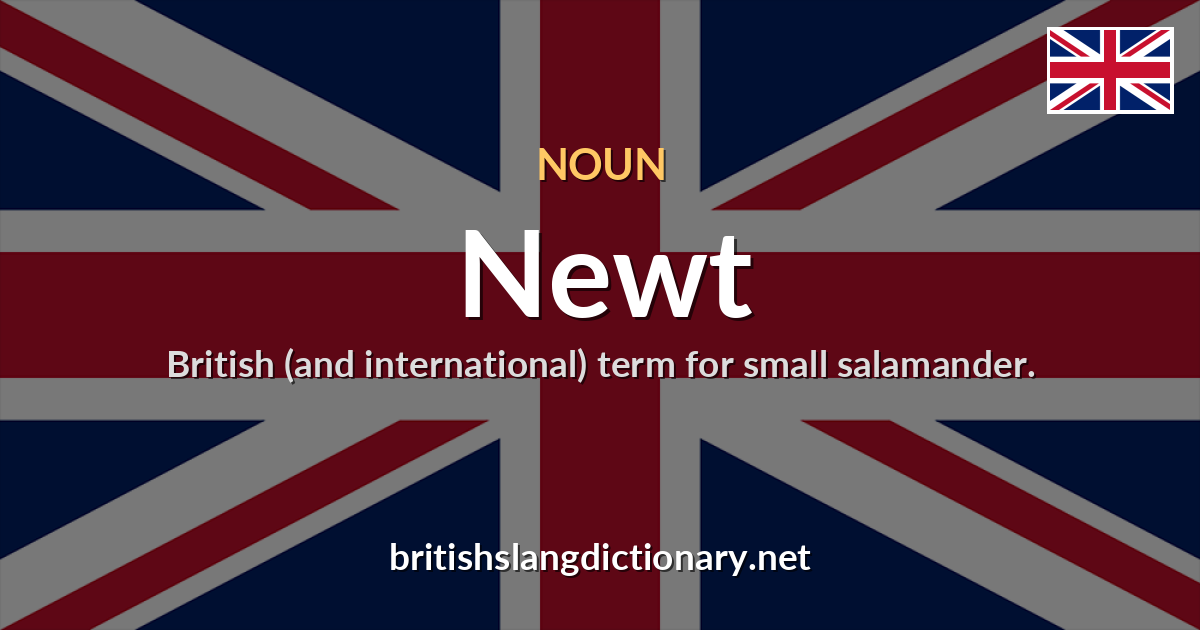 Newt