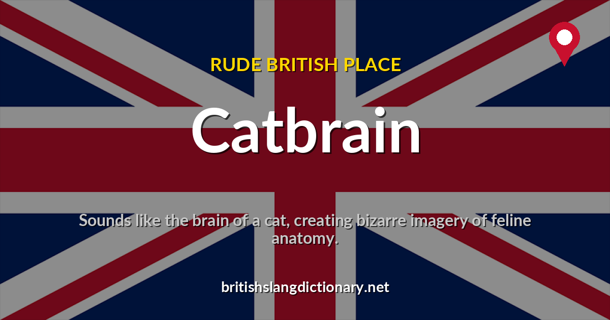 Catbrain