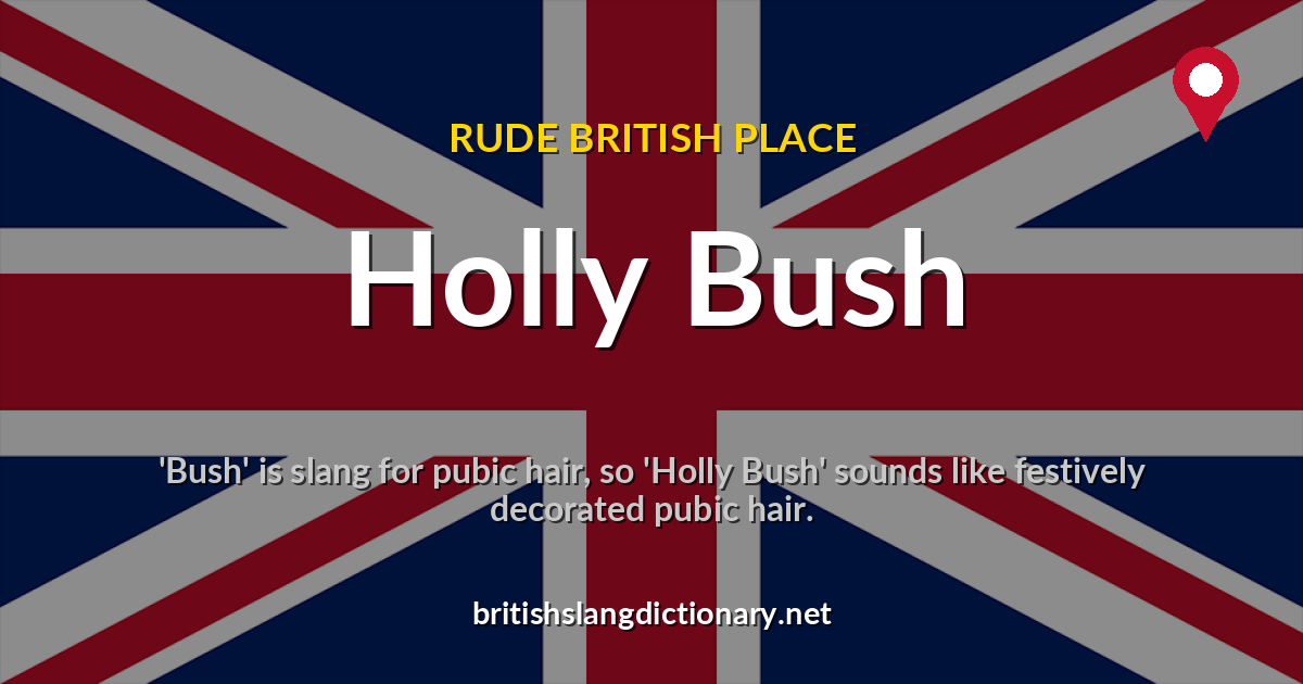 Holly Bush