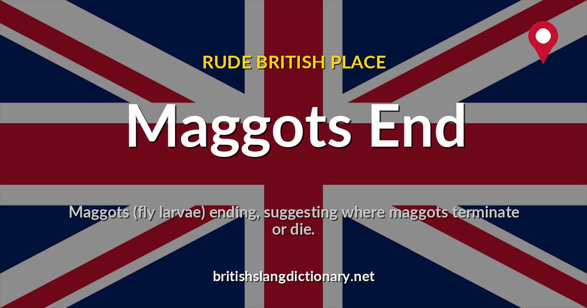 Maggots End
