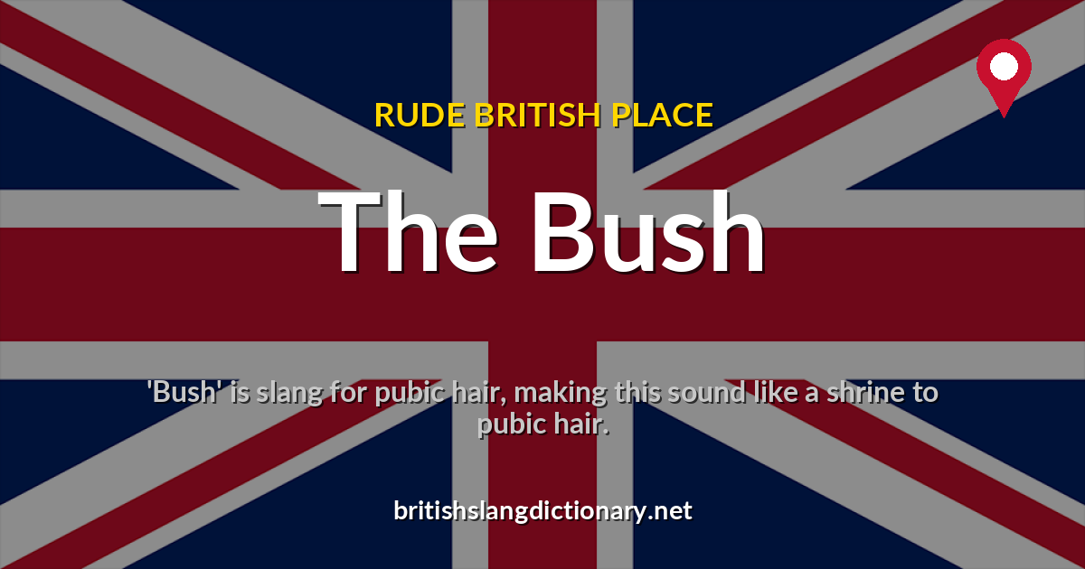 The Bush