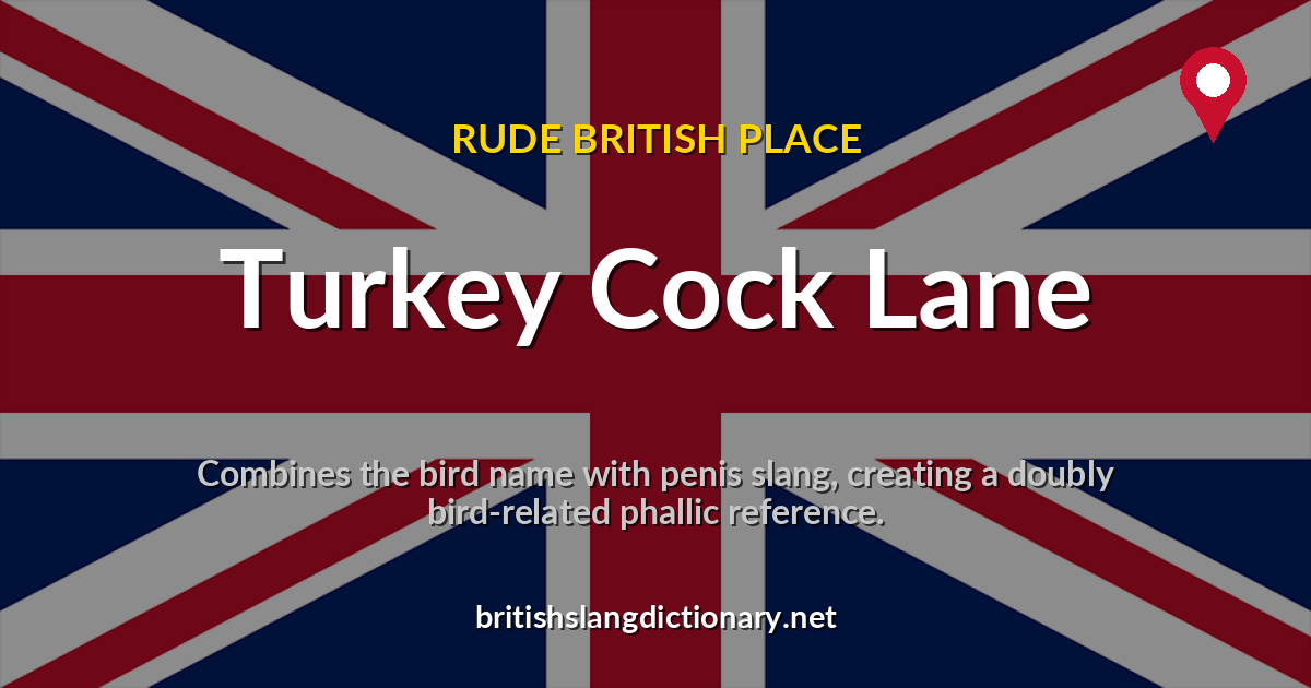 Turkey Cock Lane