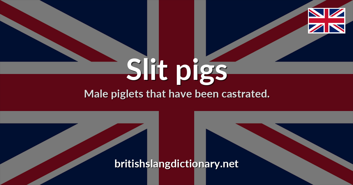 Slit pigs