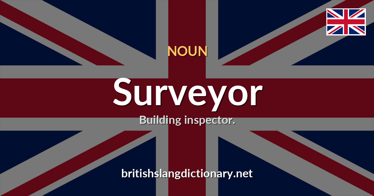 Surveyor