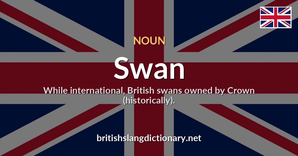 Swan