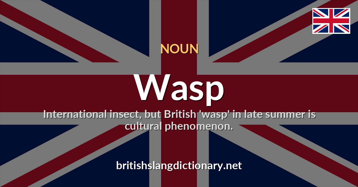 Wasp
